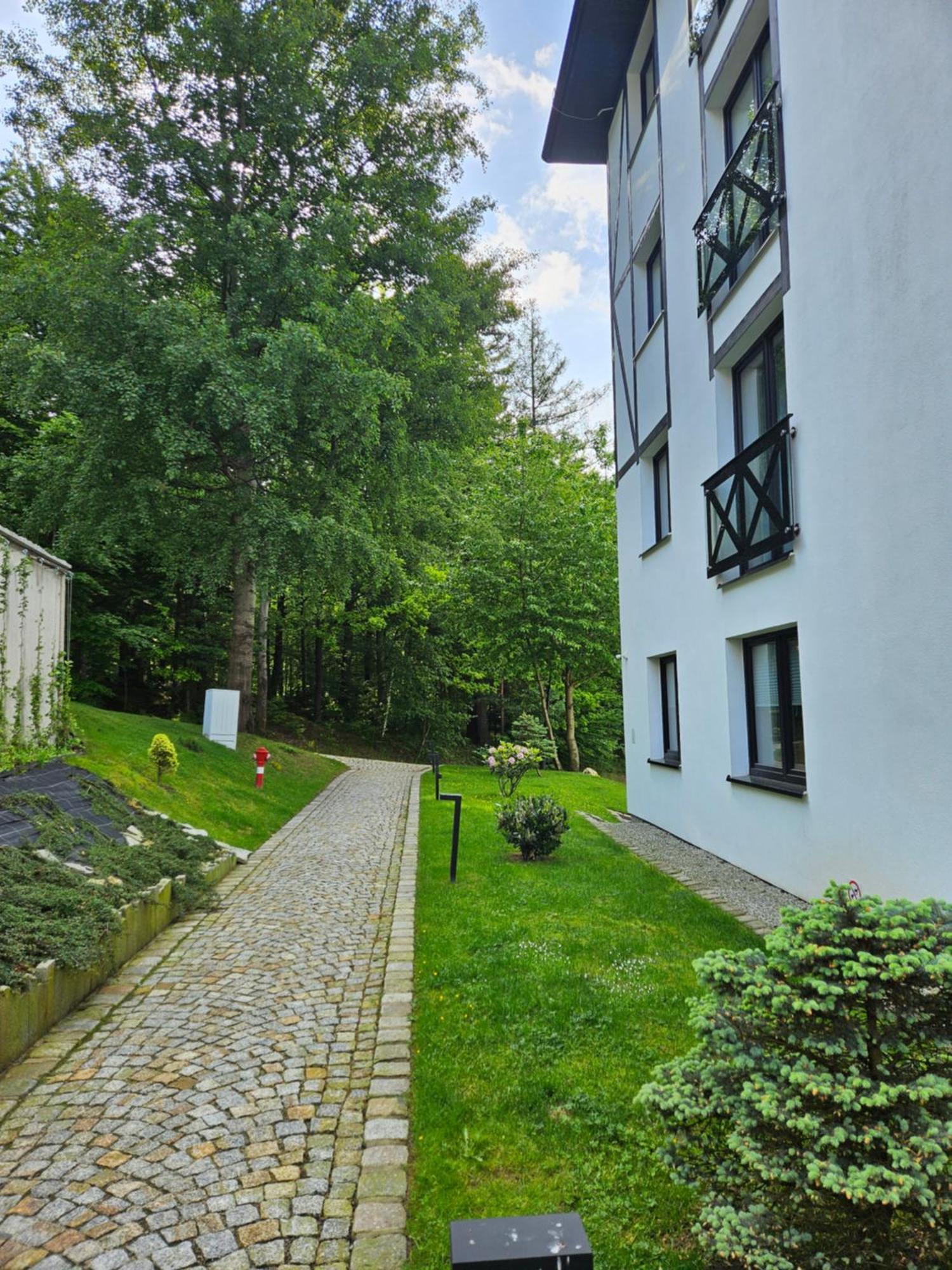 Apartament Wlochatka Z Sauna Finska Swieradow-Zdroj Bagian luar foto